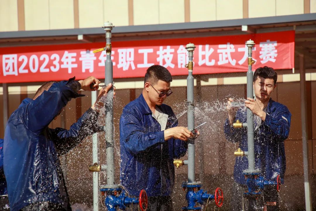 管家婆正版资料彩图